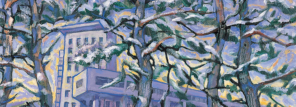 소나무 교목 이미지