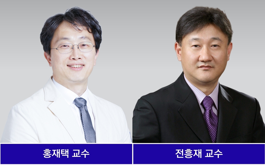 뼈 조직 재생 촉진할 수 있는 첨단 플랫폼 개발