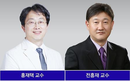 뼈 조직 재생 촉진할 수 있는 첨단 플랫폼 개발